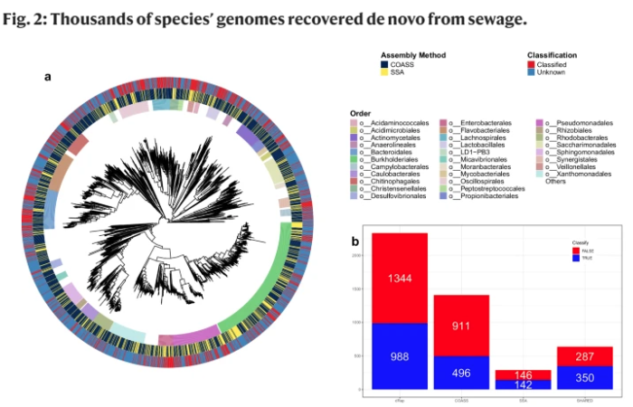 University researcher co-authors publication on new bacterial species