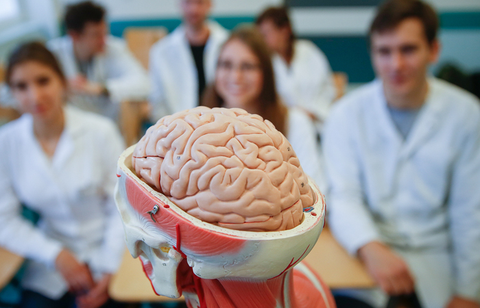 The Translational Brain Disease Centre of the Fahrenheit Union of Universities has been established