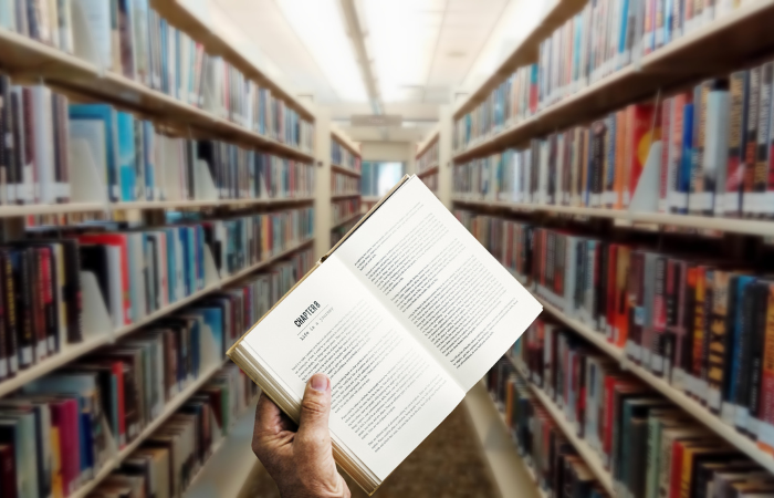 Open access publishing programmes